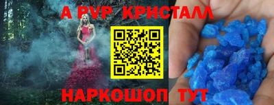 сатива Будённовск