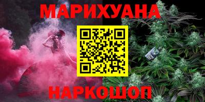 сатива Будённовск